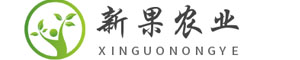 櫻桃樹(shù)苗_矮化櫻桃苗價(jià)格_新品種櫻桃苗批發(fā)_新果苗木基地